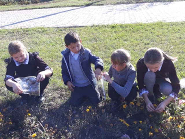 Юные волонтеры собирали семена цветов для администрации